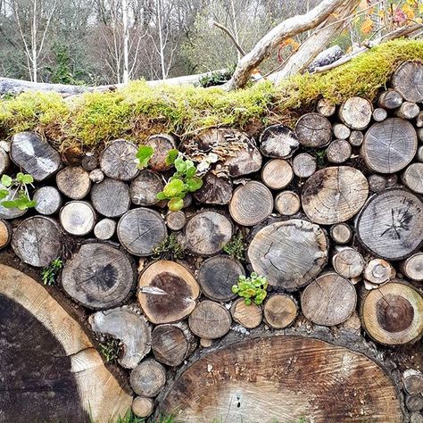 I saw this lovely natural looking wall today in the gardens at Buckfast Abbey. I'd love to have a wall like this but I'd have to have plenty of spare logs and also be very good sawing the logs the same length. I don't think it's going to happen for me but I love the idea.xx #naturalgarden #naturewall #logwall #woodenwall #greatgardenideas #naturallooking Log In Garden, Log Piles Garden, Raised Beds With Logs, Log Round Wall, Raised Garden Bed With Logs, Hobbit Garden, Sedum Roof, Log Wall, Courtyard Design