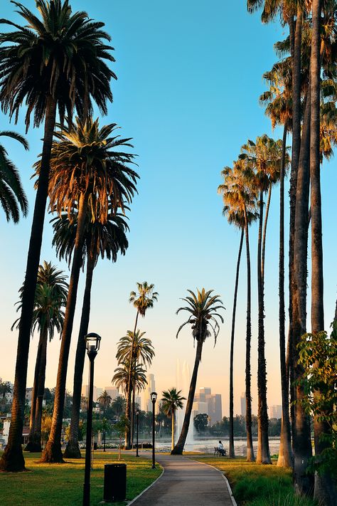 Most Popular Destinations #3 - Los Angeles, CA - In between awards shows is the LA Pride Festival in June, which draws over 400,000 to West Hollywood in celebration of the LGBTQ community. Neon Rouge, Female Packing List, Her Packing List, Forest Nymph, Vacations In The Us, Beachy Aesthetic, Park View, Los Angeles Travel, City Scape