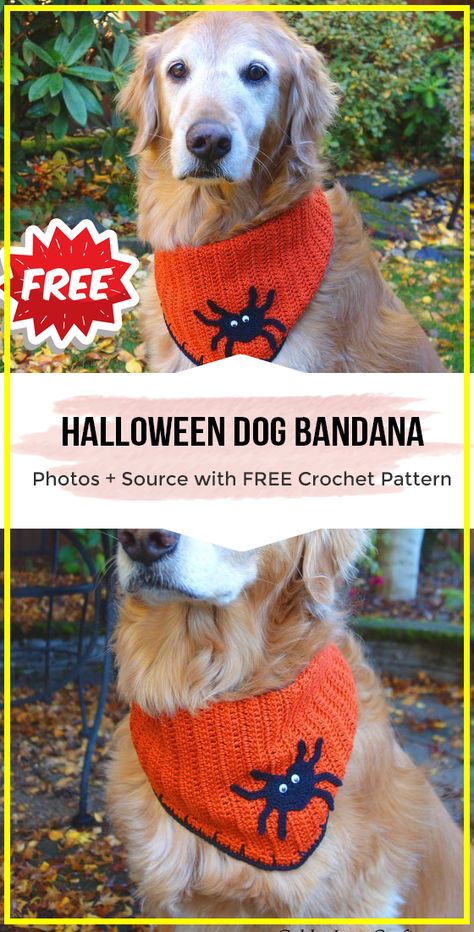 crochet Halloween Dog Bandana free pattern - easy crochet halloweenpet pattern for beginners Diy Dog Bandana, Spider Applique, Bandana Diy, Crochet Halloween Costume, Dog Bandana Diy, Orange Bandana, Dog Bandana Pattern, Cat Hats, Crochet Dog Clothes