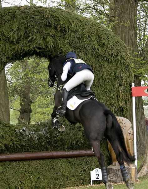 Badminton Horse Trials 2011.. will never forget this jump Jumping Aesthetic, Hunter Jumper Courses, Olympic Horse Jumping, Badminton Horse Trials, Cross County, Quintessentially British, Hunter Jumper Horses, Dark Bay Horse Jumping, Horse Jumps