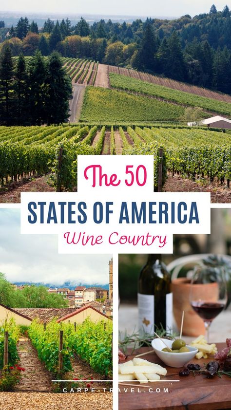 Each of the 50 states in the United States produces wine – even Alaska! There are 50 states and each one is producing wine, making a getaway to wine country more possible than ever. Here are a few of our featured wine travel guides to help you explore more of the wine country, both near and far. 50 States Of America, Wine Country Travel, The 50 States, Dream Vacations Destinations, Wine Travel, Romantic Vacations, Road Trip Planning, Amazing Travel Destinations, Travel Activities