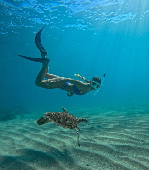 Swimming with my besties Swimming With Turtles, Swimming With Turtles Aesthetic, People Swimming Underwater, Snorkeling With Sea Turtles, Turtle Swimming, Sunnies, Swimming