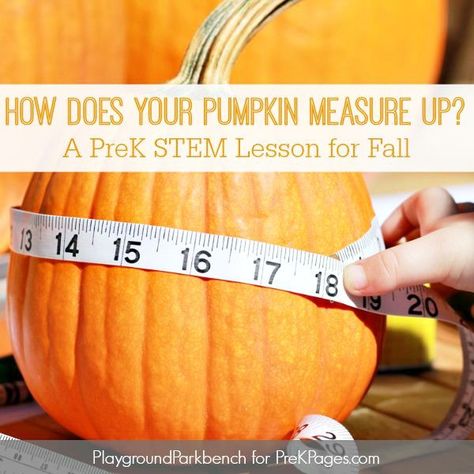 Investigate measurement (height, circumference, weight) using pumpkins in this fun fall-themed pumpkin measurement activity for preschool and pre-k. Measurement Activities Preschool, Measurement Preschool, Math Measurement Activities, Pumpkin Math Activities, Pumpkin Investigation, Autumn Preschool Theme, Pumpkin Math, School Science Projects, Activity For Preschool