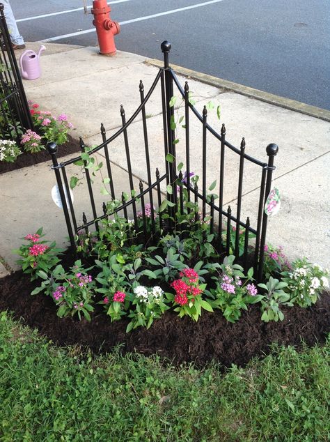 Another shot of our clematis trellis fence. Cactus Garden Landscaping, Low Maintenance Landscaping Front Yard, Clematis Trellis, Small Front Yard Landscaping, Landscaping Inspiration, Australian Garden, Low Maintenance Landscaping, Garden Shrubs, Landscape Designs