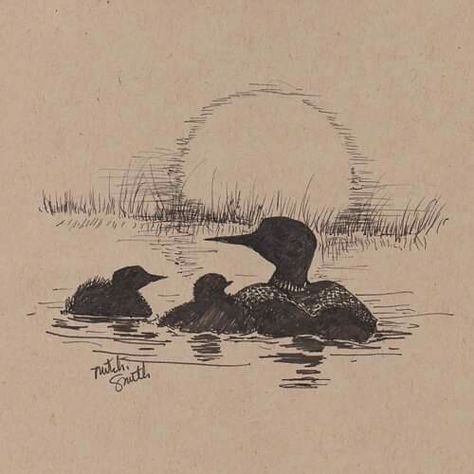 Loon Drawings, Chicks Illustration, Common Loon, Baby Illustration, Ink Pen, Tattoo Inspo, Wildlife Art, Learn To Draw, Pen And Ink