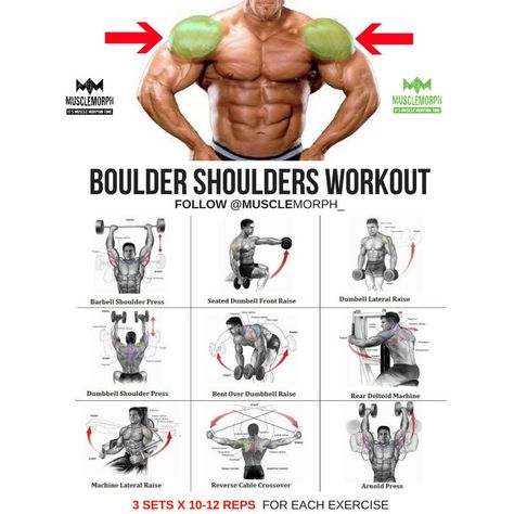 Boulder Shoulder Workout, Fitness Training Plan, Shoulder Exercises, Gym Antrenmanları, Step Workout, Weight Training Workouts, Gym Routine, Workout Chart, Chest Workouts