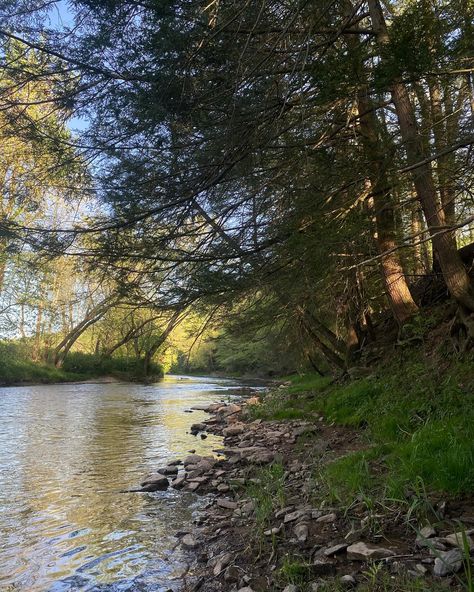 summers at home<3 #pasummer #pennsylvania #collegelife #amishcountry Minnesota Countryside, Pennsylvania Forest, Pennsylvania Aesthetic, Altoona Pennsylvania, Camp America, Rural Pennsylvania, Past Tense, Amish Country, American Dream