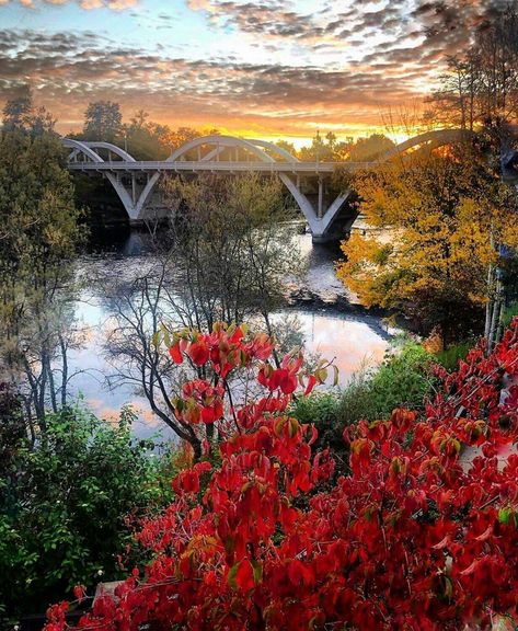 By Dee Dee Smith, at Grant's Pass, Oregon 10-25-19; vF Grants Pass Oregon, Oregon Life, Grants Pass, Southern Oregon, Home Town, Dee Dee, Where The Heart Is, My Home, Oregon