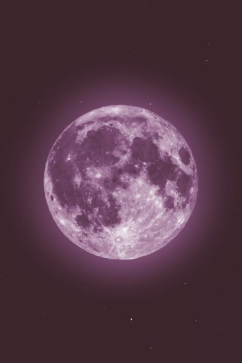 April Magick, Pink Full Moon, April First, Moss Phlox, Creeping Phlox, Time Of The Month, Pink Moon, Pink Petals, A Blanket