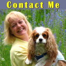 Holistic Pet Care Allergic To Dogs, Angora Cats, Allergy Medicine, Positive Dog Training, Allergic To Cats, Cat Allergies, Pet Allergies, Cat Care Tips, Dog Allergies