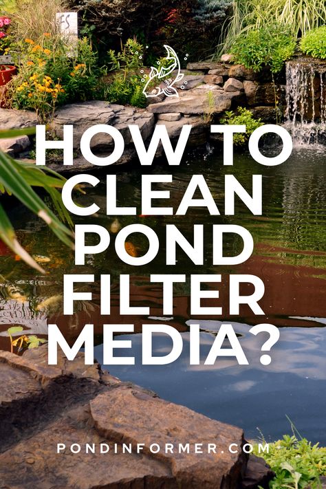 Unlock expert tips on cleaning and maintaining your pond filter media for optimal performance. From step-by-step cleaning methods to smart maintenance schedules, discover the secrets to keeping your pond water crystal clear and your aquatic habitat thriving. Delve into the world of pond filter care with our insightful guide! #PondFilterMaintenance #FilterMediaCleaning #PondCare #PondCareGuide #Pond #PondFilter Aquatic Habitat, Pond Filter Media, Pond Cleaning, Goldfish Pond, Water Gardens Pond, Outdoor Water Features, Cleaning Methods, Pond Filters, Pond Fountains