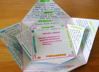 Ol Mother Hubbard: Study Star- Revision Idea Simple paper folding to create a star to use like a flip book. Revision Board, Revision Games, Revision Ideas, Revision Strategies, Note Aesthetic, Revision Techniques, Studying Inspiration, Revision Tips, Science Revision