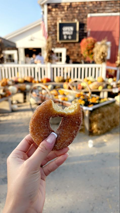 My New England apple cider donut guide: 🍁 Hogan's Cider Mill, CT 🍁 Brooksby Farm, MA 🍁 Cider Hill Farm, MA 🍁 CN Smith Farm, MA 🍁 Honey Pot Hill Orchards, MA 🍁 Kane's Donuts, MA 🍁 Mann Orchards, MA 🍁 Russell Orchards, MA 🍁 Westward Orchards, MA 🍁 Wilson Farm, MA 🍁 Smolak Farms, MA 🍁 McDougal Orchards, ME 🍁 Rocky Ridge Orchard, ME 🍁 Wallingford's Fruit House, ME 🍁 Applecrest Farm, NH 🍁 The Common Man, NH 🍁 Carter Hill Orchard, NH 🍁 Moulton Farm, NH 🍁 Allen Brothers Farms, VT 🍁 Fall Aesthetic New England, Apple Cider Donuts Aesthetic, Apple Hill California, Fruit House, Vermont Pumpkin Patch, Vermont Apple Orchard, Sleepy Hallow Farm Vermont, Apple Hill, Fall Feeling