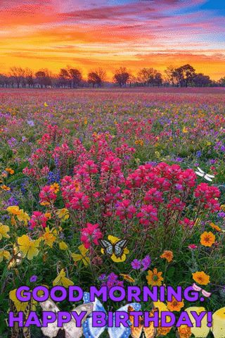 Good Morning.  Happy Birthday! via GIPHY  Butterflies, flowers, sunrise birthday, morning Wildflower Pictures, Abundant Garden, Texas Flowers, Dye Inspiration, Texas Wildflowers, Wildflowers Photography, Wildflower Photo, Belle Nature, Cellphone Case