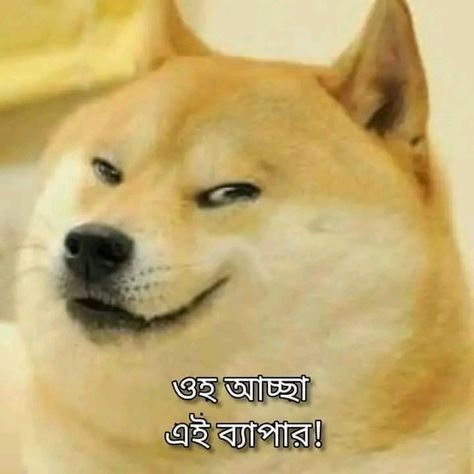 Bangla template Memes, Funny