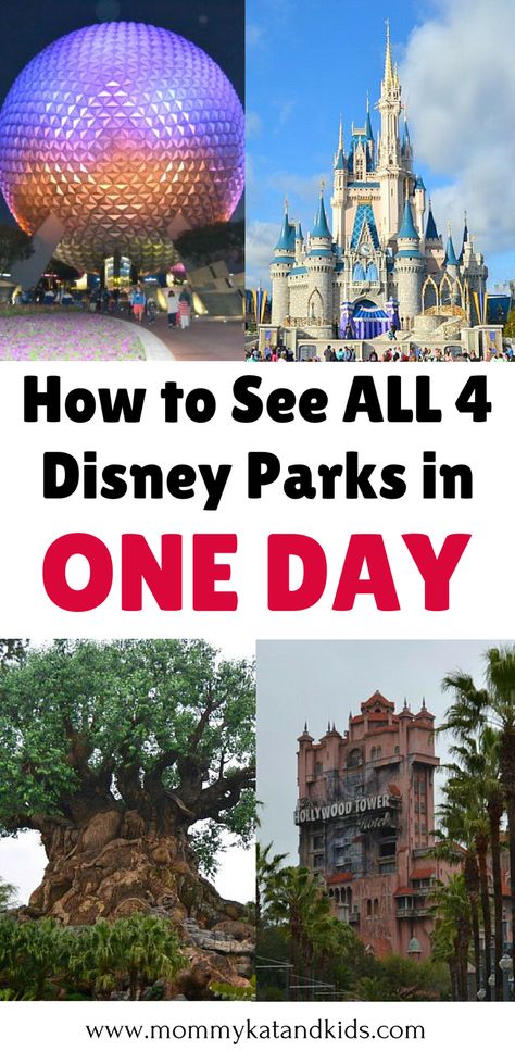 Walt Disney World in Florida is a magical place. There is so much to see and do but what if you only have one day in Walt Disney World? We will tell you exactly how you can see the best of all 4 Walt Disney Parks in one day! You’ll definitely want to save this Walt Disney World guide to your travel board. Magic Kingdom Tips, Disney World Guide, Travel Nursery, Disney On A Budget, Disney Florida, Disney Rides, Disney World Florida, Disney World Planning, Disney World Parks