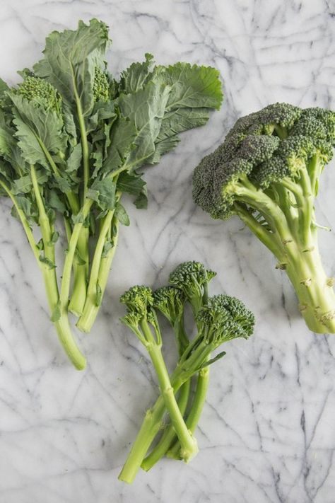 What's the Difference Between Broccoli, Broccolini, Broccoli Rabe, and Chinese Broccoli? Broccoli Raab, Broccolini Recipe, Broccoli Vegetable, Chinese Broccoli, Broccoli Stalk, Broccoli Nutrition, How To Cook Broccoli, Winter Veggies, Chinese Vegetables