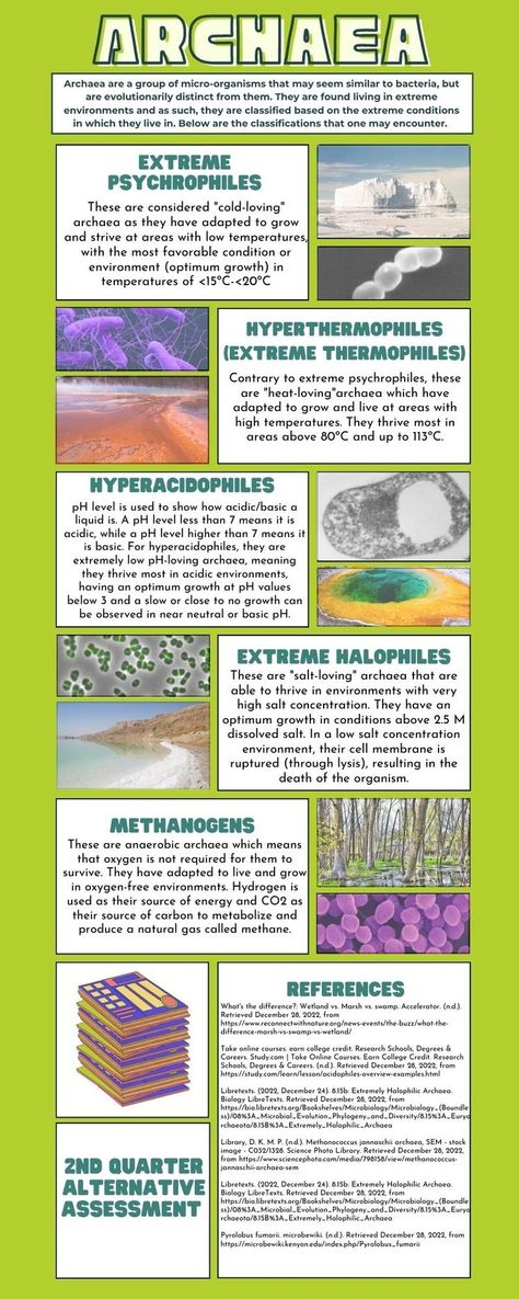 Micro Organisms, Infection Control, Microbiology, Low Pressure, They Live, A Group, Biology, Salt, Conditioner