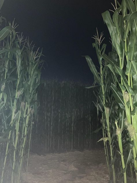 Scary Corn Maze, Corn Maze Aesthetic, Scary Maze, Haunted Corn Maze, Circus Game, Trail Cam, Eerie Places, Dark Forest Aesthetic, Hunting Game