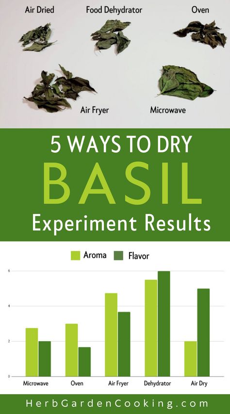 What is the best method to dry basil so it doesn’t lose its aroma and flavor? I conducted an extensive experiment, testing traditional air drying, oven drying, using a food dehydrator, a microwave, and even an air fryer. My findings, coupled with survey data, yielded some surprising results. Preserving Basil, Dry Basil, Dried Basil Leaves, Food Dehydrators, Meat Rubs, Food Dehydrator, Garden Cooking, Dehydrator Recipes, Basil Leaves