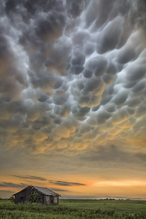 Mammatus Clouds, Wild Weather, Cloudy Sky, Storm Clouds, Old Barn, Natural Phenomena, Sky And Clouds, Beautiful Sky, Tornado