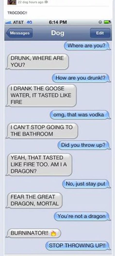 Dragons LOVE Goose Water is listed (or ranked) 2 on the list 38 Drunk Texts You Wish You Got Drunk Text Messages, Whats App Fails, Drunk Text, Funny Drunk Texts, Funny Drunk, Dog Texts, Drunk Texts, Texts From Last Night, Drunk Humor