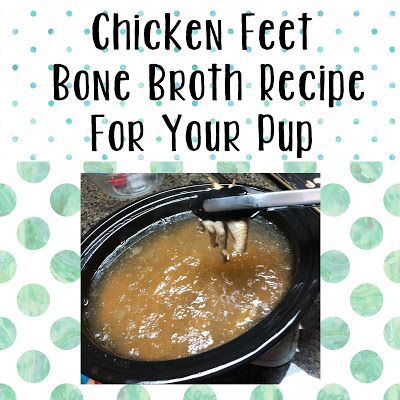 Chicken Feet Bone Broth Recipe... For DOGS! Bone Broth Recipe Instant Pot, Bone Broth Recipe For Dogs, Chicken Feet Bone Broth, Bone Broth Dogs, Broth For Dogs, Making Bone Broth, Recipe Instant Pot, Dogs Images, Homemade Bone Broth