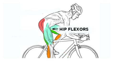 Best Hip Stretches, Strength Program, Hip Flexor Stretch, Tight Hip Flexors, Hip Flexors, Hip Stretches, Hip Mobility, Knee Up, Hip Muscles