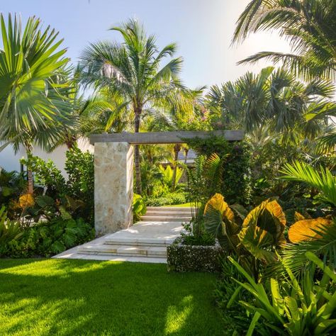 Full Sun Container Plants, Tropical Garden Design, Tropical Home, Tropical Backyard, Garden Frame, Side Garden, Backyard Garden Design, Garden Landscape Design, Beach Gardens