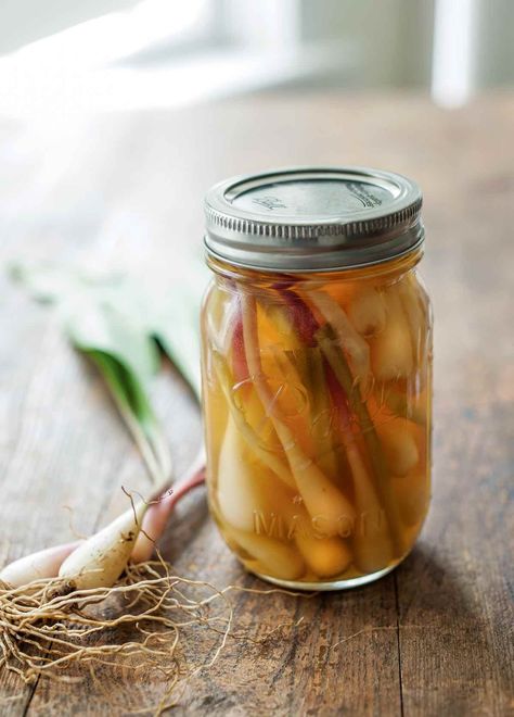 Ramp season is fleeting, but that doesn't mean you can't enjoy them for much longer with these quick pickled ramps. #ramps #pickles #spring Ramps Recipe, Pickled Ramps, Lobster Sandwich, Leek Recipes, Steamed Mussels, Quick Pickled, Turbinado Sugar, Healthy Sandwiches, Wild Edibles