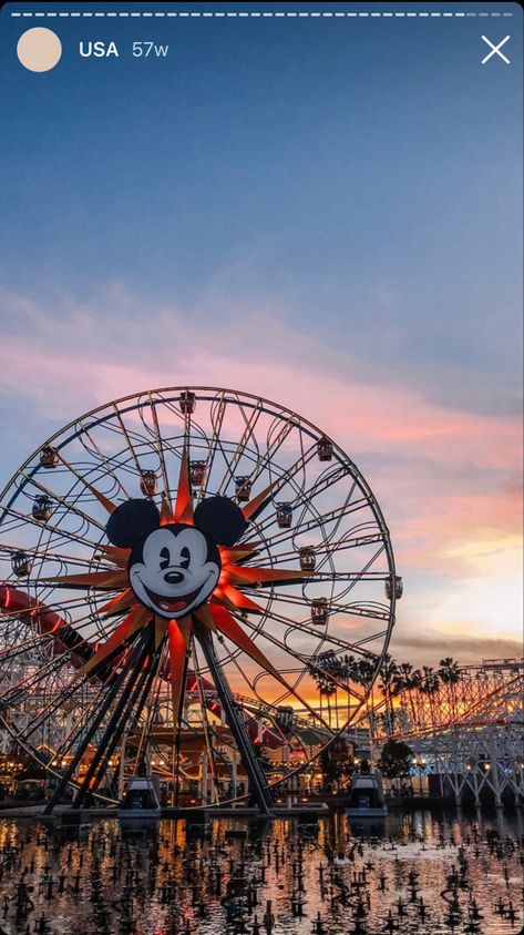 Mickey Mouse Ferris Wheel, Disney Ferris Wheel, Disneyland Ferris Wheel, Disney Land Pictures, Ferris Wheels, Disneyland Trip, Big Wheel, Disney Aesthetic, Disney Stuff