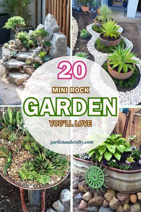 Top 20 Stunning Mini Rock Gardens You’ll Love Mini Rock Garden, Succulent Rock Garden, Fall Landscaping, Growing Sweet Potatoes, Mini Landscape, Mini Rock, Front Garden Design, Zone 9, Mini Fairy Garden