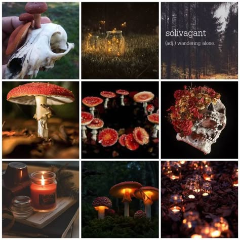 Mushroom Moodboard Aesthetic, Forestcore Moodboard, Damaged Angel Wings, Moodboard Character Inspiration, Moodboards For Ocs, Mushroom Mood Board, Oc Mood Board, Moodboard Character Design, Mushroom Moodboard