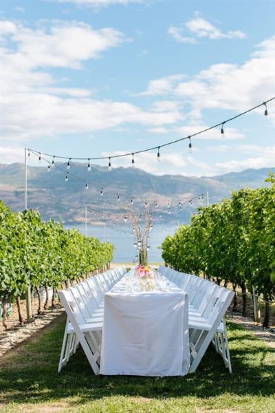 Quails' Gate Estate Winery - Kelowna, BC - Party Venue Kelowna British Columbia, Wedding Halls, Kelowna Bc, Wedding Hall, Winery Wedding, Party Venues, Winery Weddings, Banquet Hall, Vineyard Wedding