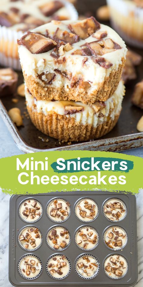 Snickers Cheesecake, Mini Cheesecake Recipes, The Cheesecake Factory, Bite Size Desserts, Feed A Crowd, Cheesecake Desserts, Oreo Dessert, Easy Cheesecake, Cheesecake Bites