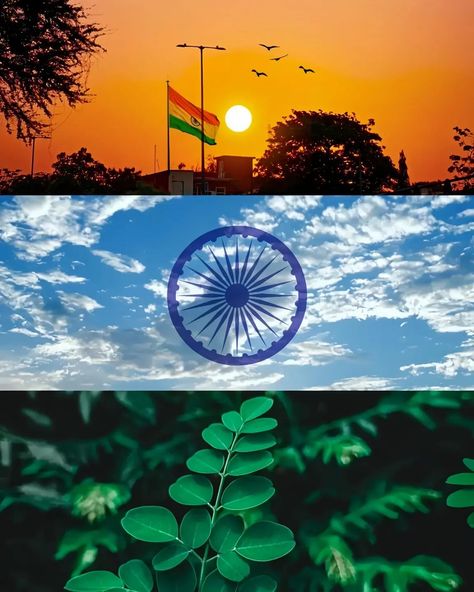 Happy 78th Independence Day 🧡🤍💚 #happyindependenceday #independenceday #15august Happy Independence Day Images, Blessed Mother Statue, Independence Day Images, Cartoon Love Photo, Instagram Profile Picture Ideas, Happy Birthday Frame, Cartoons Love, Birthday Frames, Beautiful Images Nature