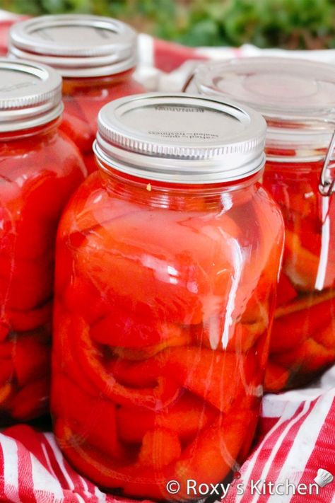 Marinated Red Pimento Peppers Canned Pimento Peppers, Canning Pimento Peppers, Canning Pimentos, Pimento Peppers, Marinated Vegetables, Canned Foods, Pickling Salt, Pickled Vegetables, Pressure Canning