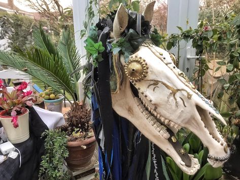 Pan-Celtic Hoofbeats: Horses of the Dark Time-Mari Lwyd | Kris Hughes Mari Lwyd, People Singing, Welsh Recipes, Horse Skull, Ancient Celts, Living Off The Land, Hobby Horse, The Best Day, Folk Tales