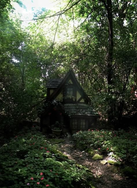 Small Woodland Cottage, Hidden Cottage In The Woods, Cottage In Forest, Spooky Cottage, Cottage In Woods, Cottages In The Woods, Cottage Dark, Woods Cottage, Cottage In The Forest