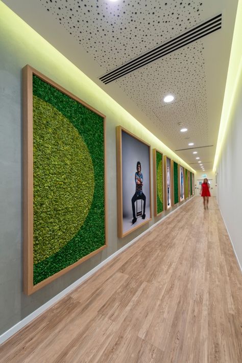 Office Picture Frames, Office Coridoor Ideas, Gray Interior Doors, Office Feature Wall, Corridor Design, Hospital Interior, Office Lobby, Design Hallway, Green Office