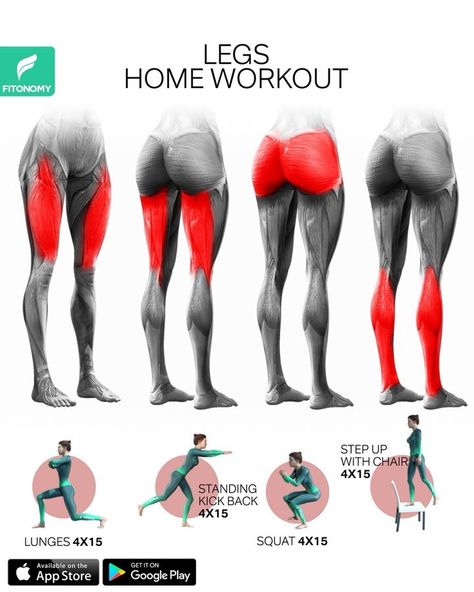 Legs Home Workout, Effective Workout Plan, Motivasi Diet, Leg Workout At Home, Trening Fitness, Full Body Gym Workout, Body Workout Plan, Thigh Exercises, Trening Abs