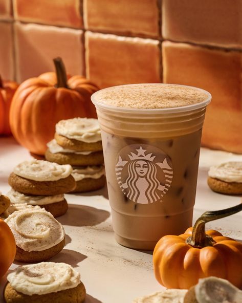 Pumpkin Pie Drink, Starbucks Calories, Pumpkin Pie Latte, Pumpkin Chai Tea, Starbucks Fall Drinks, Starbucks Pumpkin Spice Latte, Starbucks Pumpkin Spice, Pumpkin Cream Cheese Muffins, Fall Menu