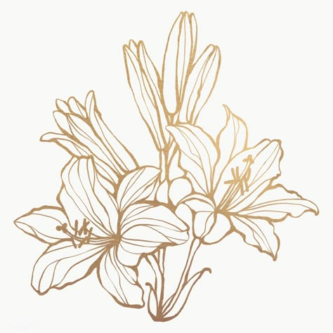 Outline Flower, Line Art Flowers, Flower Sketch, Leaf Outline, Rosé Png, Flower Outline, Line Flower, Flower Sketches, Golden Flower