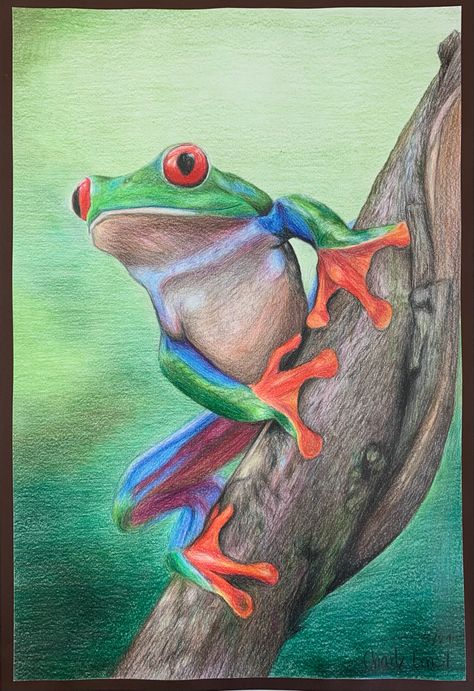 Frog Sitting Drawing, Frog Drawing Realistic, Tree Frog Painting, Scenery Drawing For Kids, Body Image Art, Pencil Drawings Of Animals, Gcse Art Sketchbook, Frog Pictures, Frog Drawing