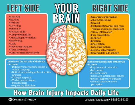 Left Brain, Brain Facts, Brain Anatomy, Brain Gym, Injury Recovery, Brain Science, Medical Examination, Right Brain, Nursing Notes