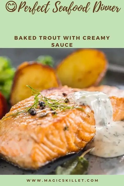 Oven baked trout with creamy sauce. Trout fillets with delicious homemade creamy lemon and dill sauce cooked in a halogen (turbo) oven. #ovenrecipes #turbooven #halogenoven #seafood #trout Trout Recipes Baked, Baked Trout Almondine, Steelhead Trout Recipe Baked, Baked Trout, Shakeology Recipes, Trout Recipes, Dill Sauce, Creamy Recipes, Miracle Whip