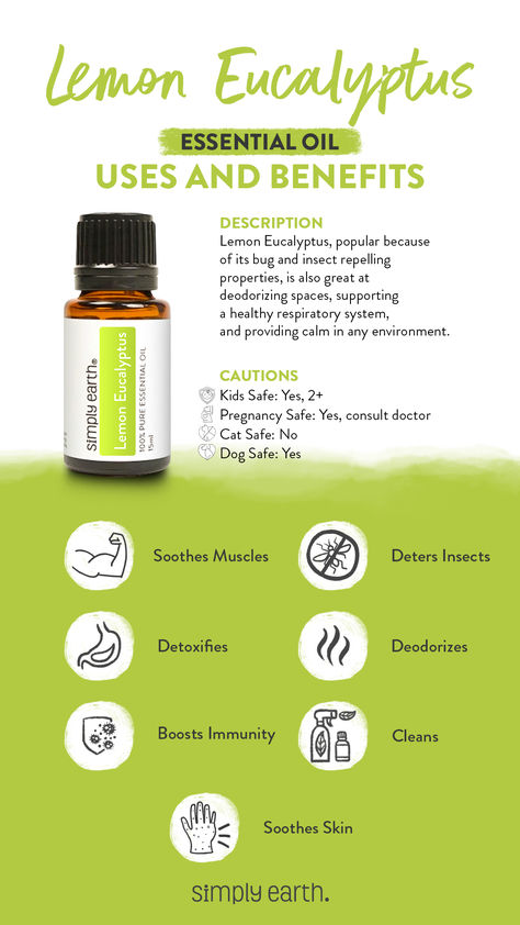 If you’ve ever walked through a lemon eucalyptus garden, you know that the scent is unmistakable. Now you can experience its fresh aroma inside your home with Lemon Eucalyptus Essential Oil. This fresh and invigorating oil has a pleasant aroma and provides an array of useful uses. Benefits Of Eucalyptus Essential Oil, Lemon Eucalyptus Oil Uses, Essential Oil Meanings, Eucalyptus Essential Oil Uses, Eucalyptus Garden, Essential Oils Dogs, Simply Earth, Essential Oil Education, Lemon Essential Oil