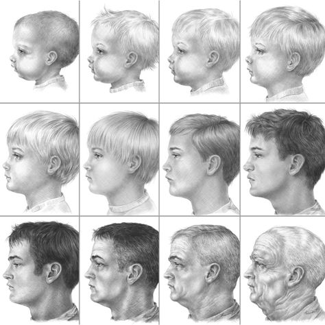 Character Aging Progression, Art About Aging, Age Progression Drawing, Ageing Art Gcse, Gcse Art Facial Features, Different Age Face Drawing, Facial Features Art Gcse Page, Facial Features Sketchbook Page, Facial Aging