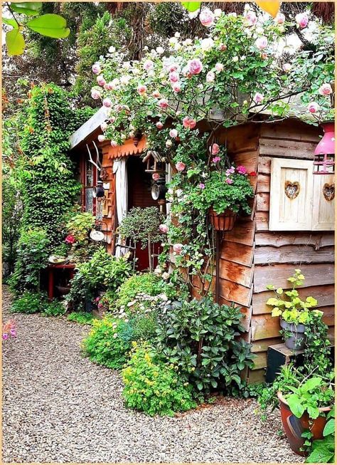 Pretty Sheds, Beautiful Flower Gardens, Front Yard Flowers, Lake Landscaping, Dream Garden Backyards, Yard Flowers, Pools For Small Yards, Front Lawn Landscaping, Backyard Covered Patios