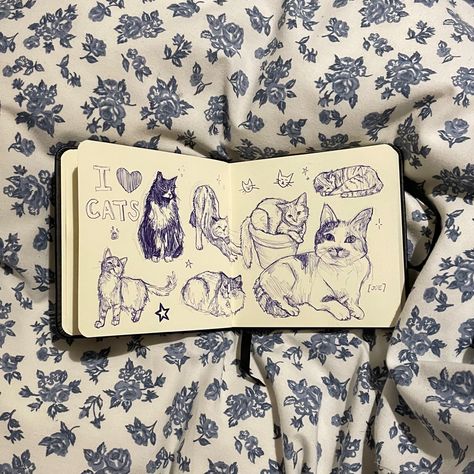 cat sketches | blue ballpoint pen on a art creation 12x12 sketchbook Blue Ballpoint Pen Art, Blue Pen Art, Pen Art Doodle, Cat Sketches, Pen Sketchbook, Ballpoint Pen Art, Ballpoint Pen Drawing, Indie Drawings, Cat Sketch